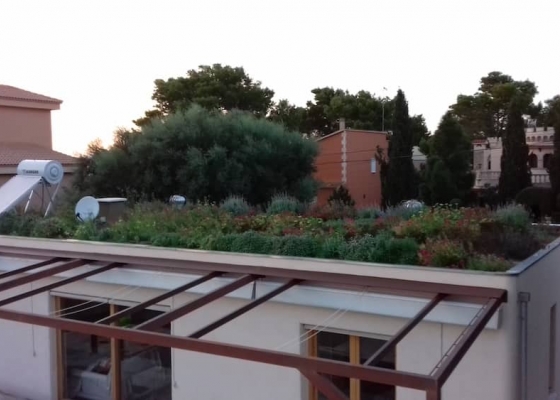 Construcción casa con cubierta vegetal en Mallorca